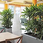 Ibis Koeln 2* フレッヒェン
