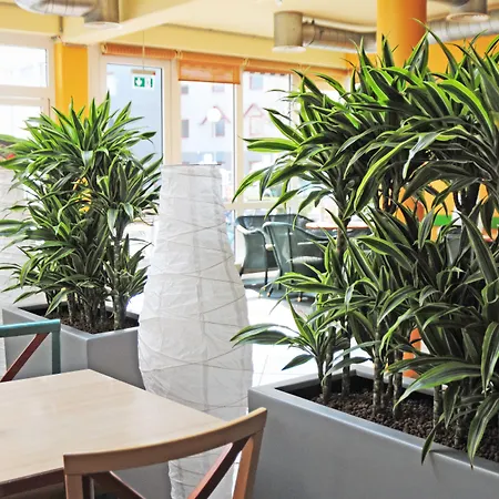 Ibis Koeln 2* 프레첸
