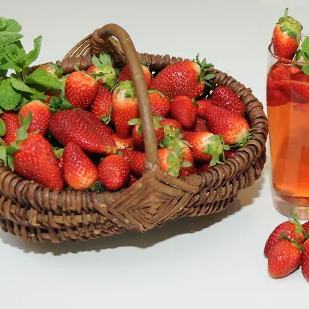 Ibis Koeln Hotel Frechen