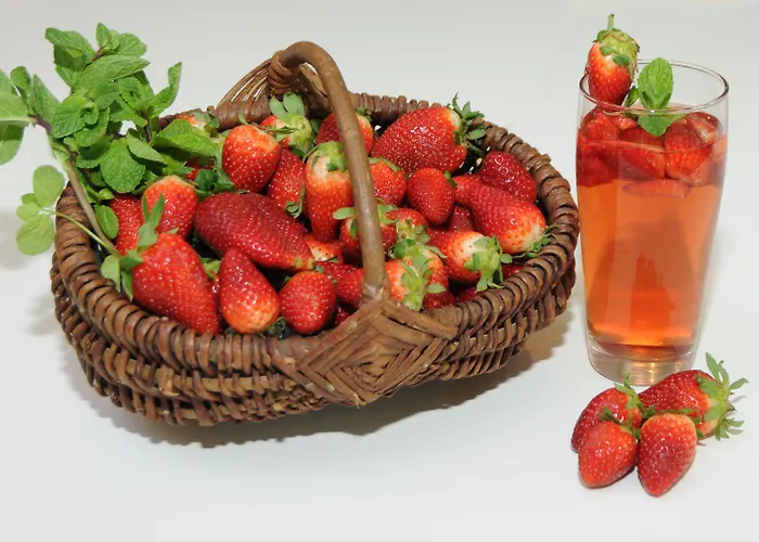 Ibis Koeln Hotel Frechen