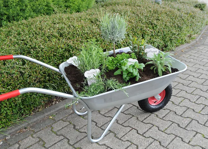 Ibis Koeln Hotel Frechen